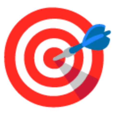 🎯